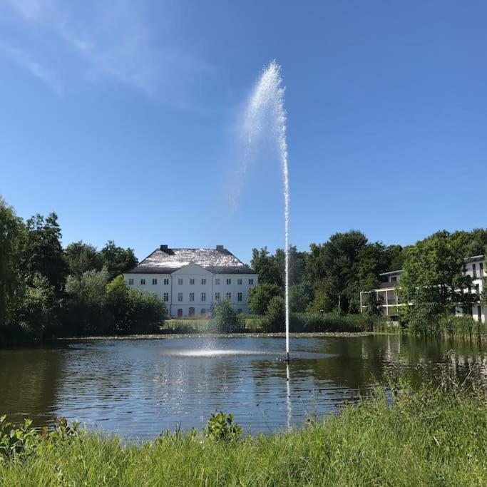 Reetdachhaus Seasons Mit Kamin & Sauna Groß Schwansee المظهر الخارجي الصورة